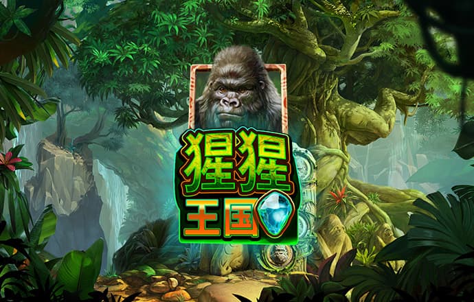 bob·体育综合平台